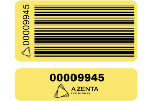 Plasmid EZ Yellow Label
