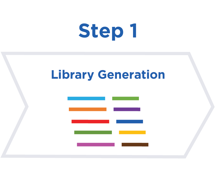 Library Generation
