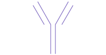 Antibody Icon