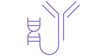 Recombinant Antibody Production Icon