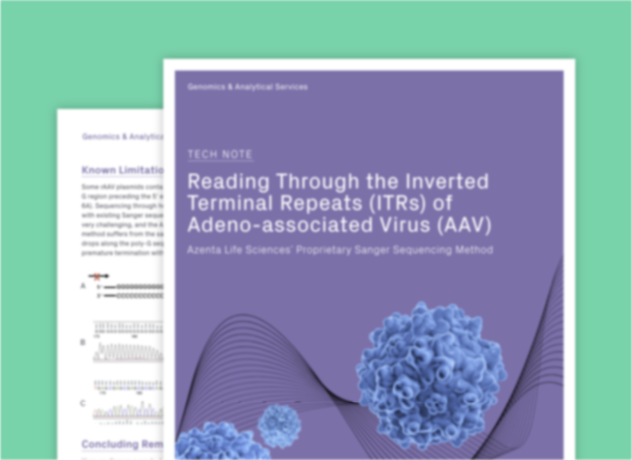 AAV ITR Sequencing Case Study
