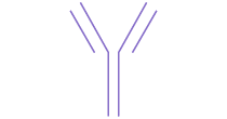 Antibody-Icon
