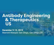 Antibody Engineering & Therapeutics