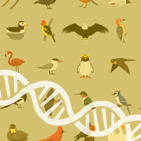 Similar Hemoglobin Adaptations Found Among Diverse Bird Species