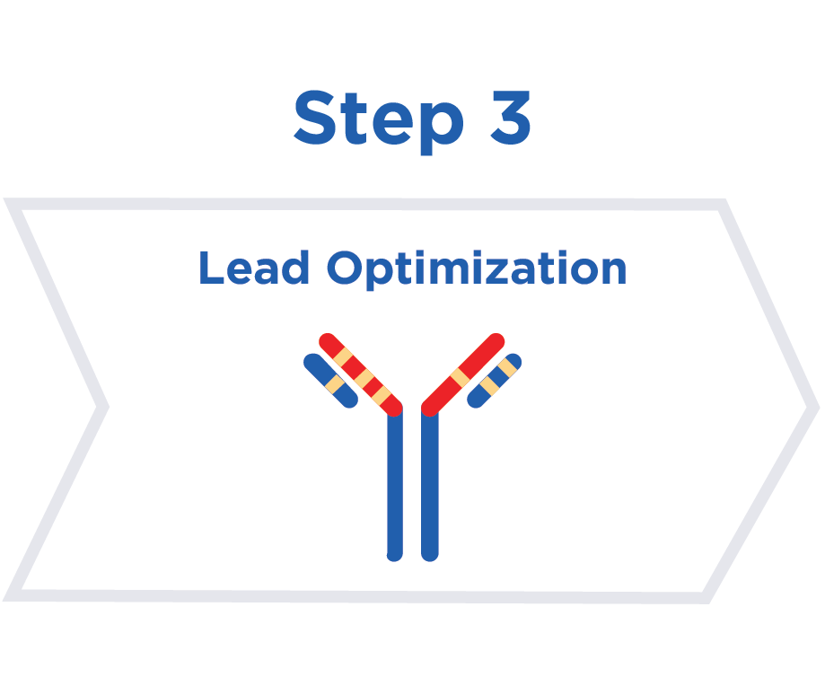 Lead Optimization