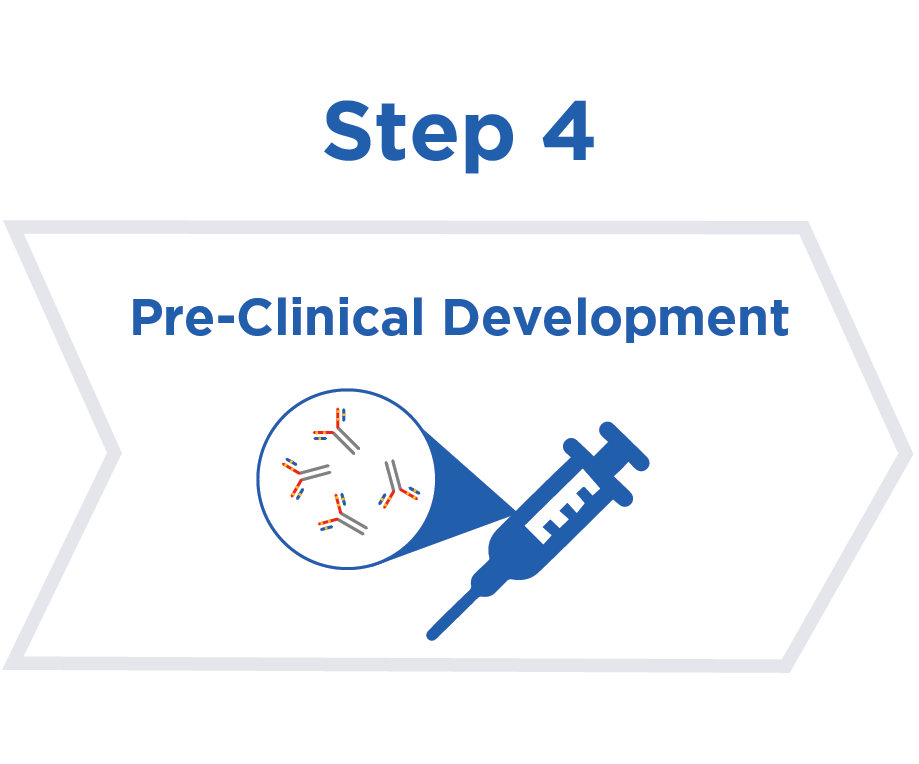 Pre-Clinical Development