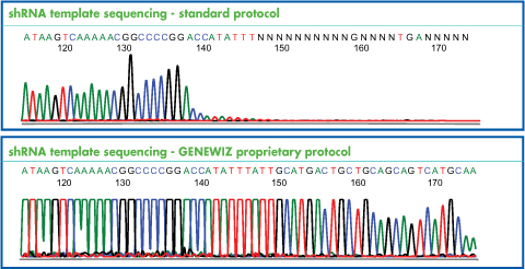 Small Hairpin RNA Template Sequencing