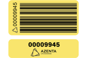 Plasmid EZ Yellow Label Plasmid EZ Yellow Label