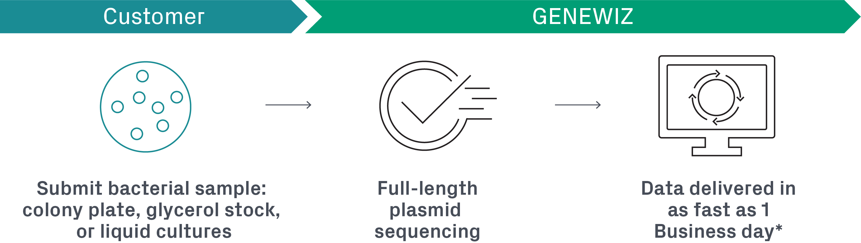 Complete colony-to-plasmid sequencing workflow.