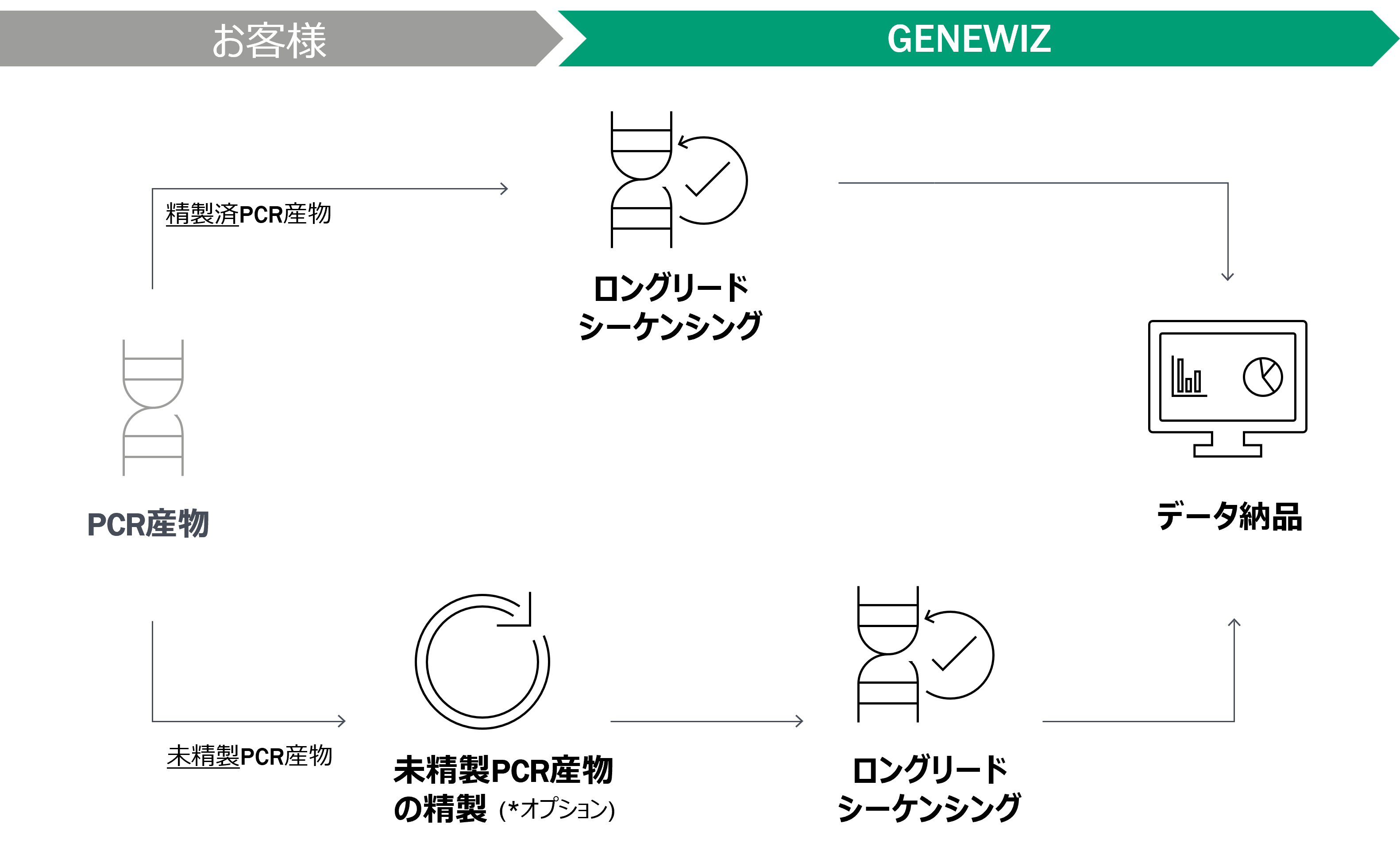 Plasmid construction workflow using PCR-EZ.