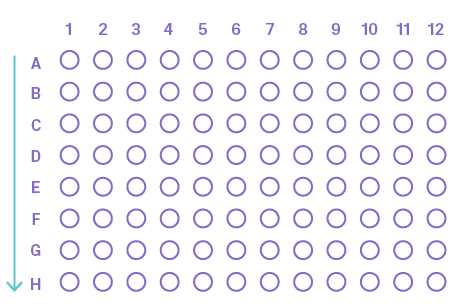 Plates 48 Building