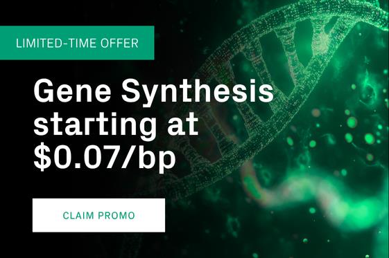 $0.07 bp Gene Synthesis
