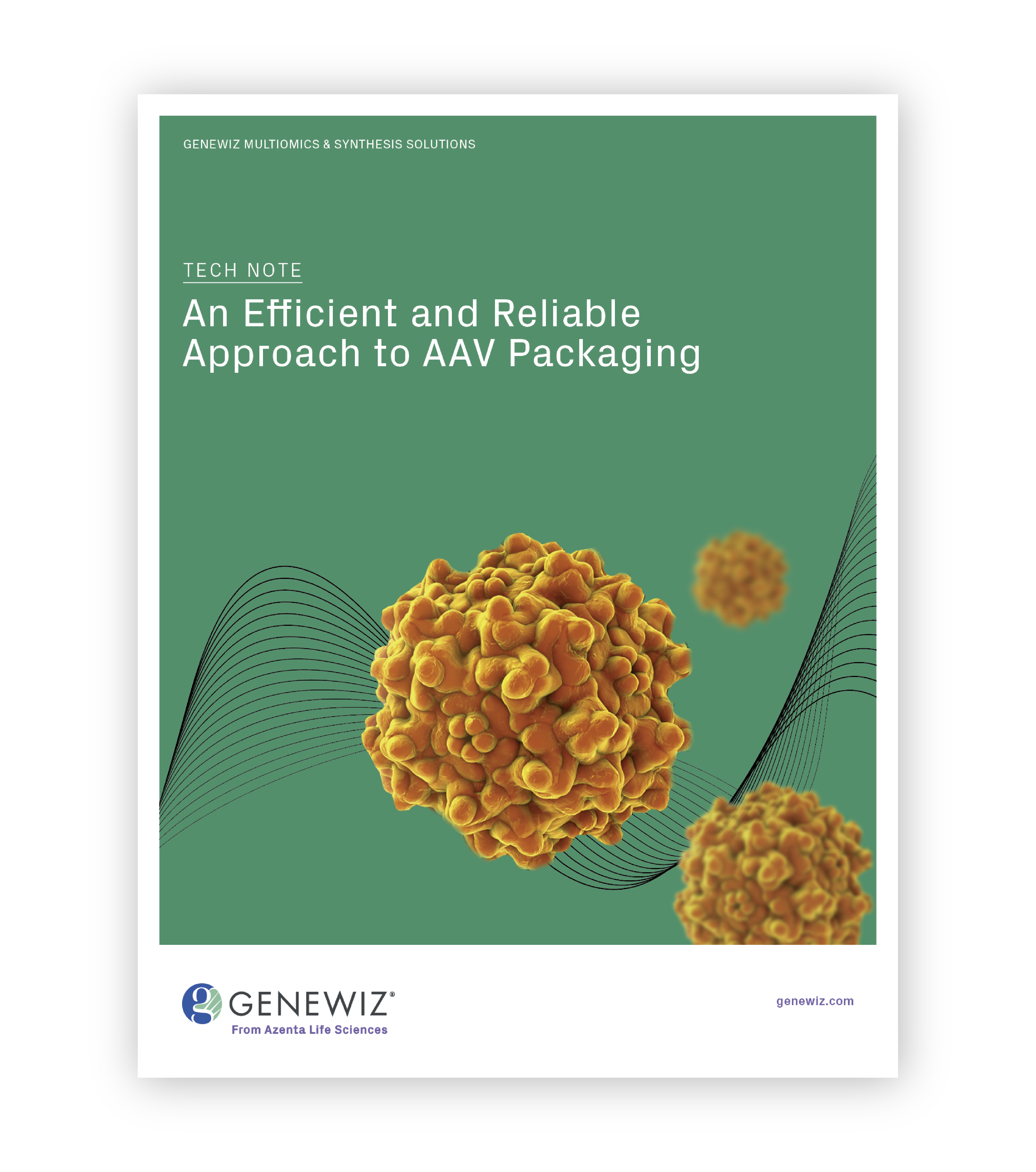 Thumbnail for Tech Note: AAV ITR Sequencing