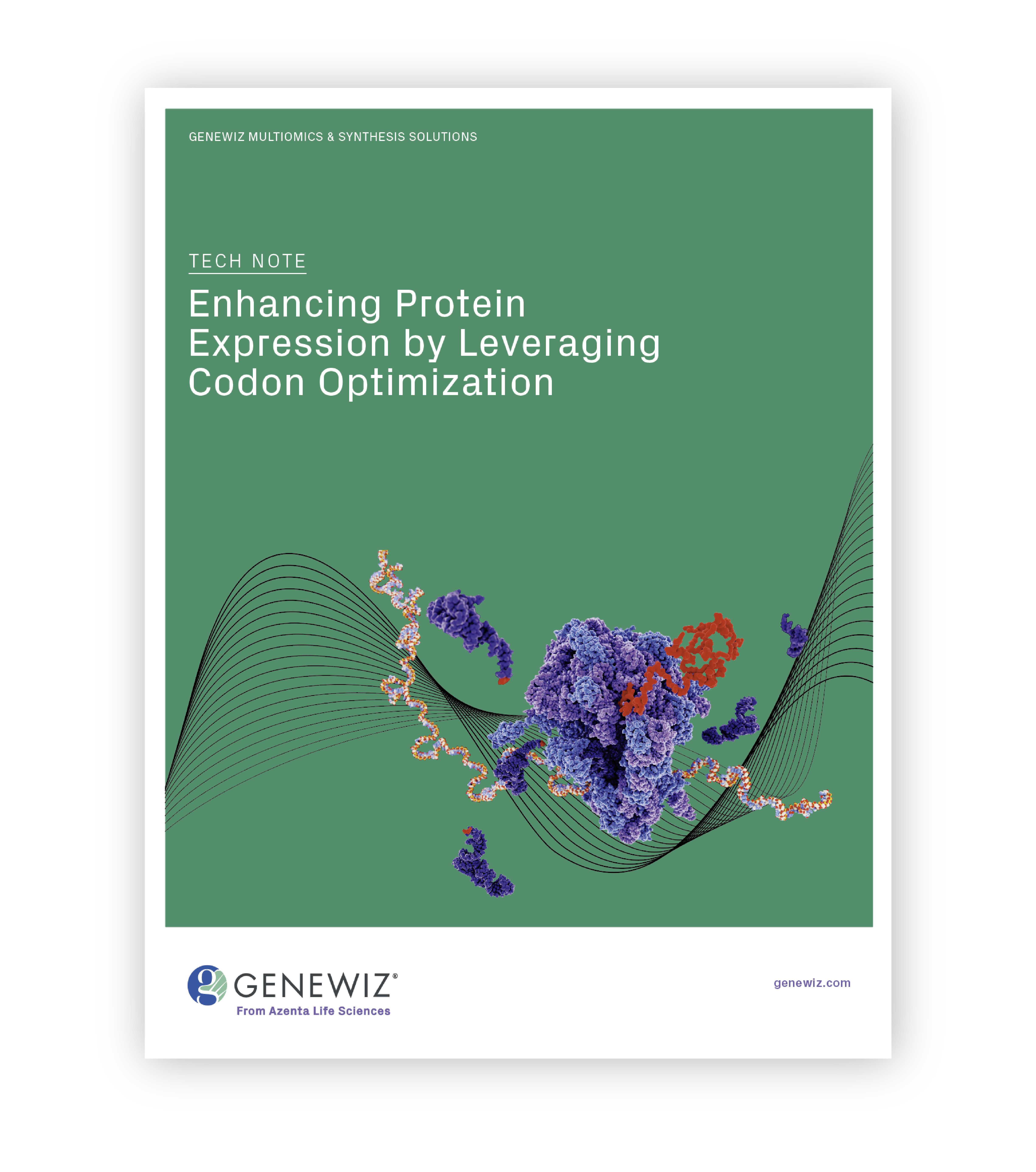 Thumbnail for tech note: Enhancing Protein Expression by Leveraging Codon Optimization