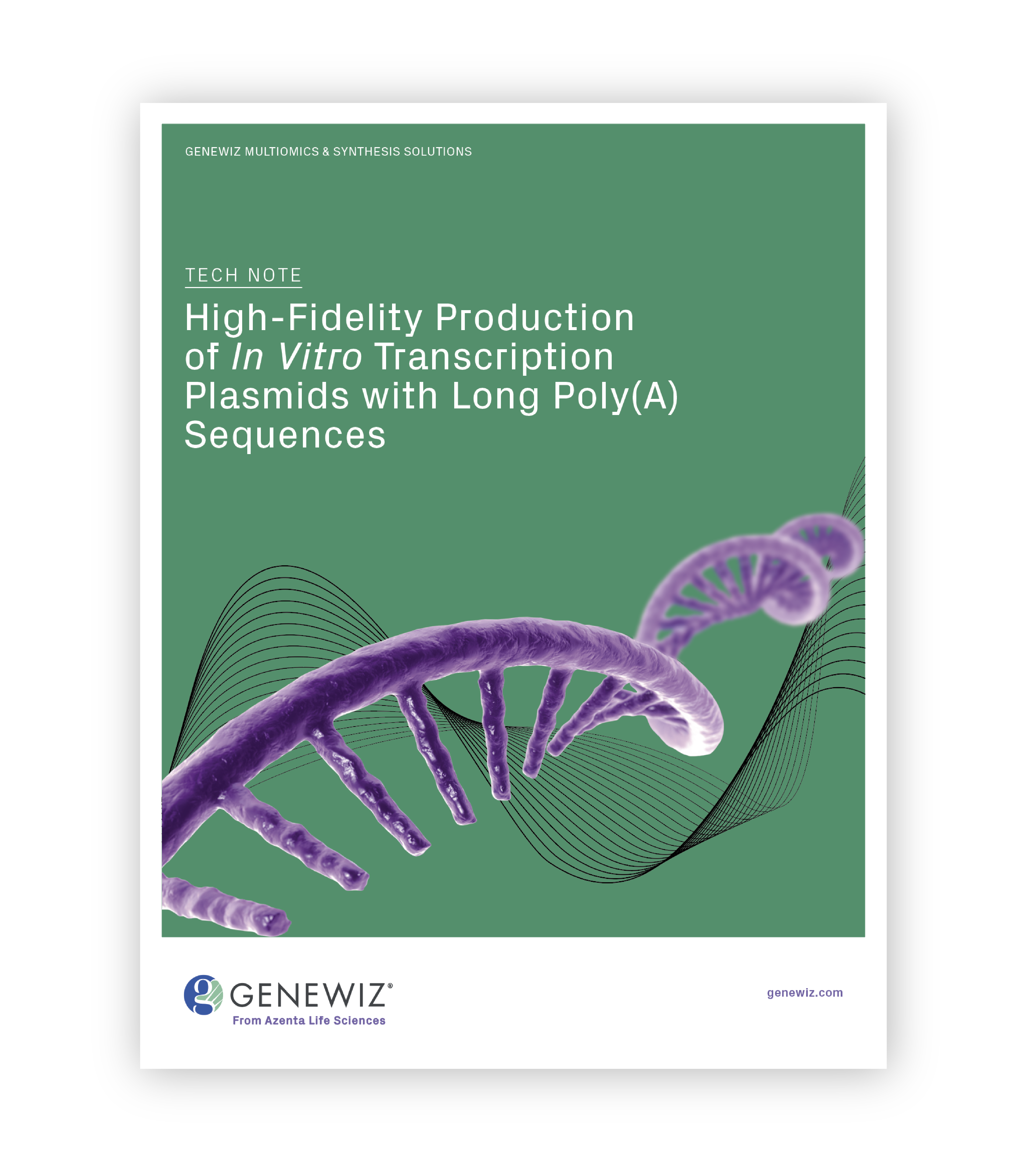 Thumbnail for tech note: High-Fidelity Production of In Vitro Transcription Plasmids with Long Poly(A) Sequences