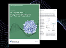 Thumbnail for Tech Note: An Efficient and High-Fidelity Approach to AAV Plasmid Preparation