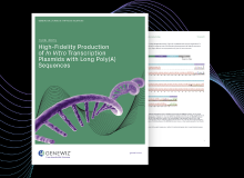 Thumbnail for tech note: High-Fidelity Production of In Vitro Transcription Plasmids with Long Poly(A) Sequences