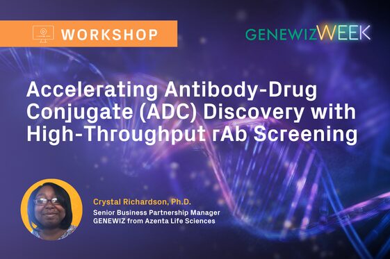 Thumbnail for webinar titled Accelerating Antibody-Drug Conjugate (ADC) Discovery with High-Throughput rAb Screening
