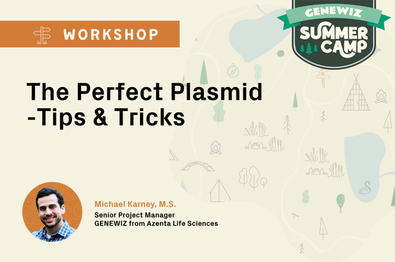 Thumbnail for webinar titled The Perfect Plasmid - Tips & Tricks