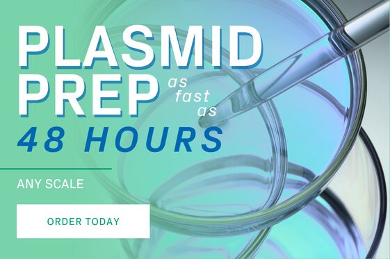 Promotion banner for Plasmid Prep services