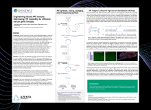 Engineering Robust AAV Vectors: Addressing ITR instability for Effective Cancer Gene Therapy