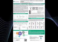 Poster preview for Leveraging High-Throughput Platforms for the Discovery of Bispecific Antibodies