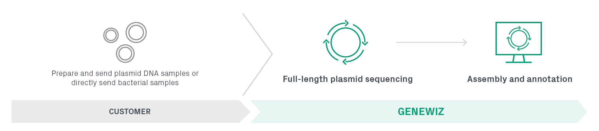 Complete plasmid-ez sequencing workflow.