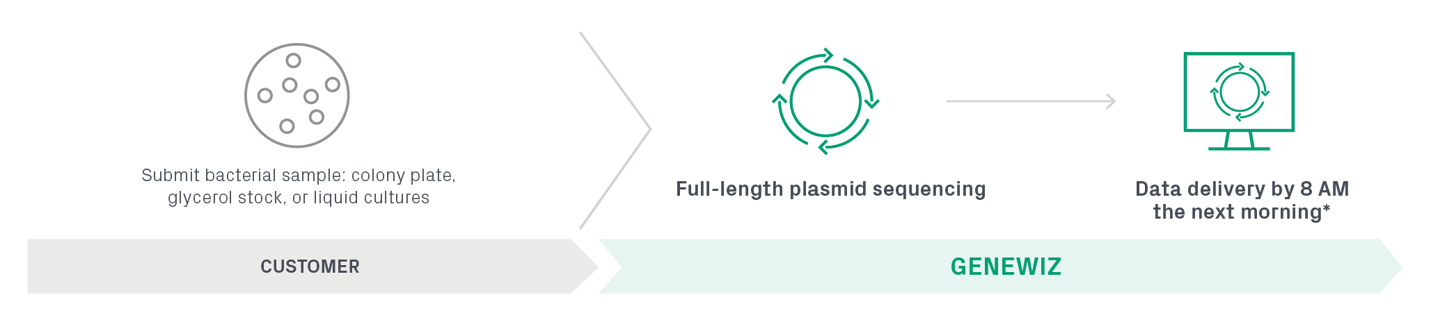 Complete colony-to-plasmid sequencing workflow.
