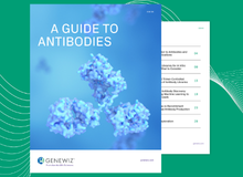 Thumbnail for eBook titled A Guide to Antibodies