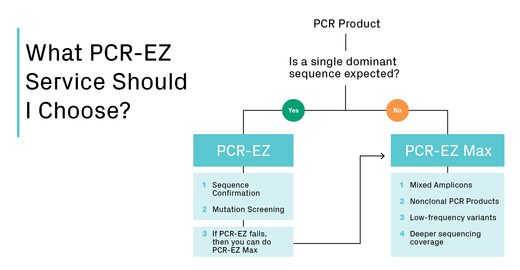 Complete PCR-EZ sequencing workflow.