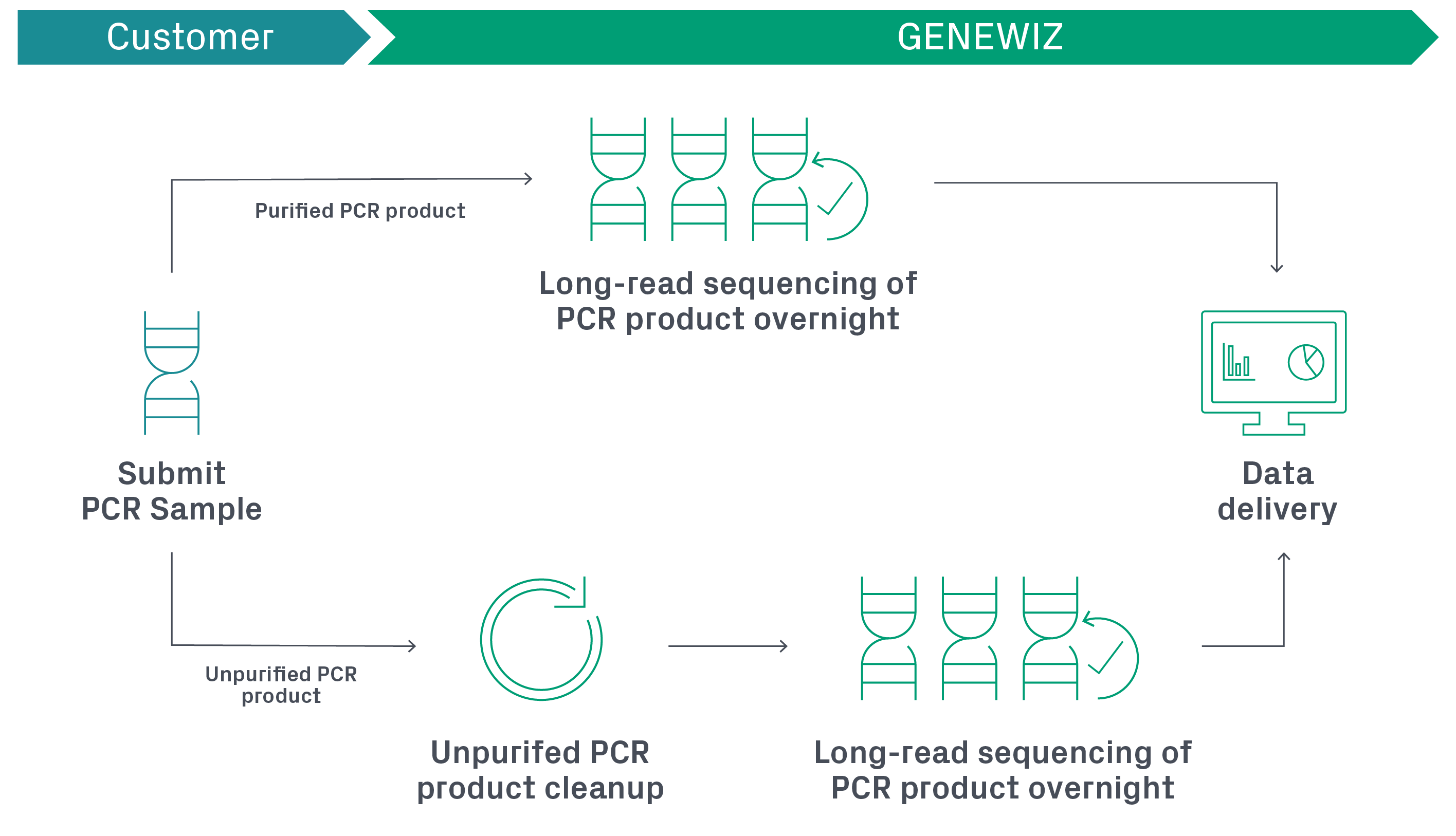 PCR Product workflow using PCR-EZ Max.