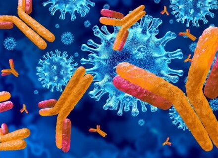 Thumbnail for blog post titled Antibody Discovery: Why Early Design Matters 