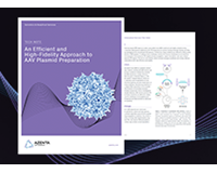 Tech Note: An Efficient and High-Fidelity Approach to AAV Plasmid Preparation